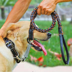 Hundhalsband med nitar och koppel med fjäderdel - Svart