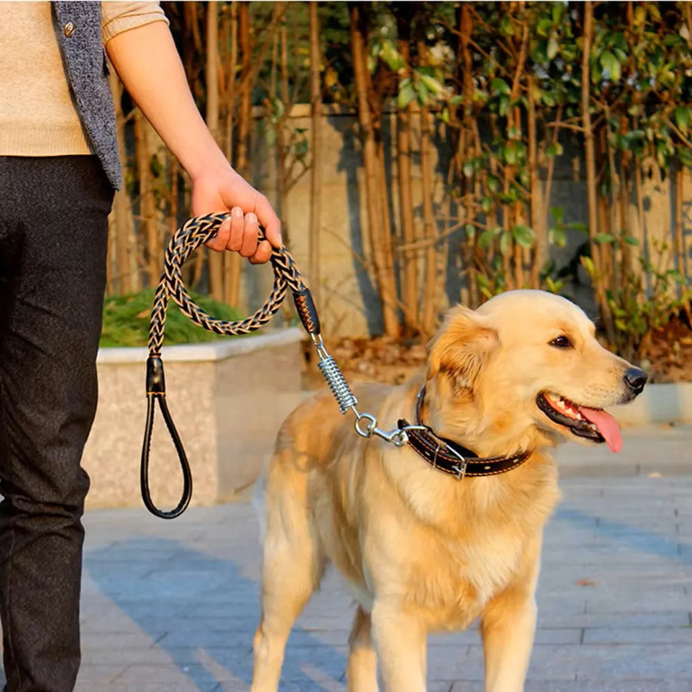 Hundhalsband med nitar och koppel med fjäderdel - Svart