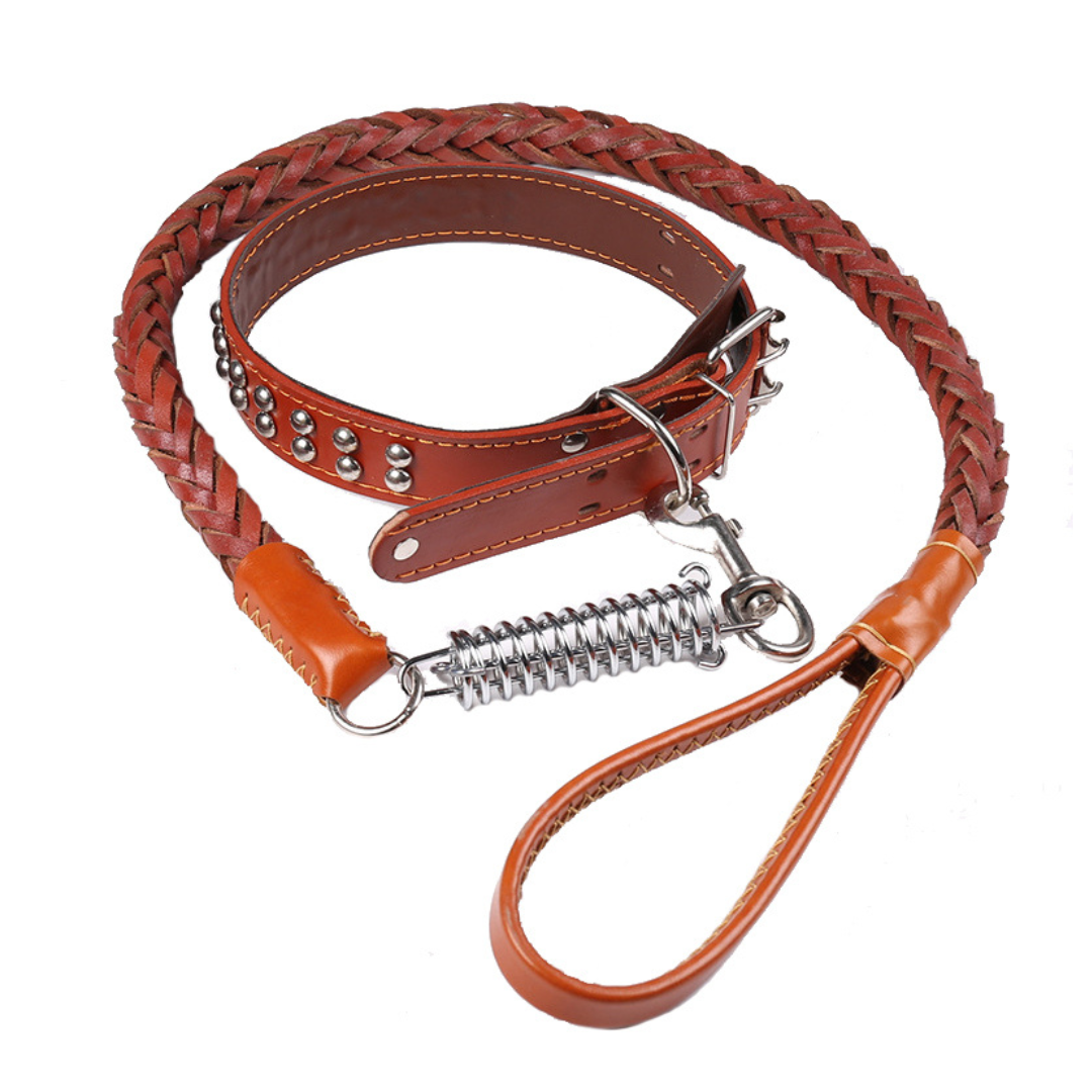 Hundhalsband med nitar och koppel med fjäderdel - Brun