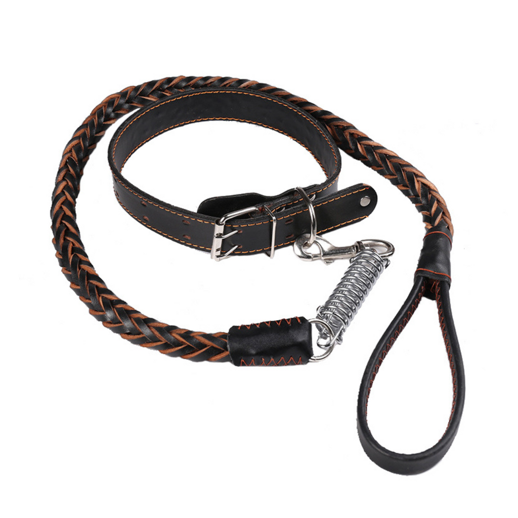 Hundhalsband med nitar och koppel med fjäderdel - Svart