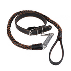 Hundhalsband med nitar och koppel med fjäderdel - Svart