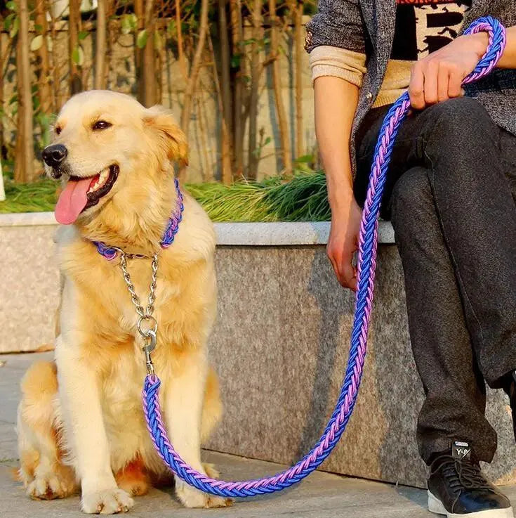 Hundkoppel med flätat rep och halsdel med kedja - Blå Lila