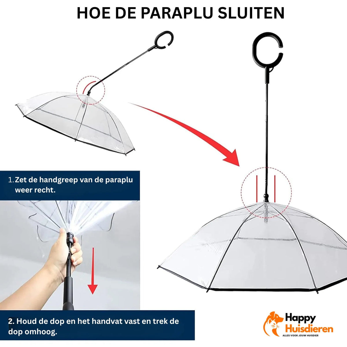 Hundparaply med genomskinlig skärm och böjt handtag