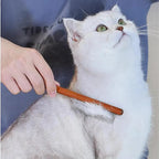 Kattkam med långt trähandtag och fina metalltänder