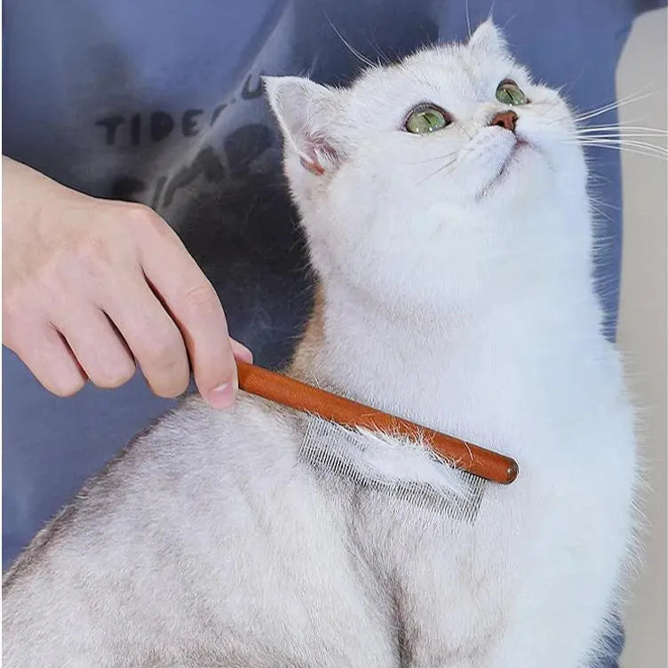 Kattkam med långt trähandtag och fina metalltänder