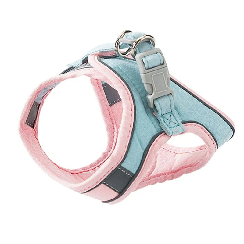 Kattsele med bröstpanel och tvåfärgade kantband - Rosa-Blå