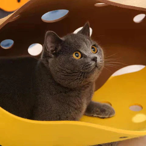 Kattunnel med vågform, runda öppningar och filtstruktur - Brun - Gul